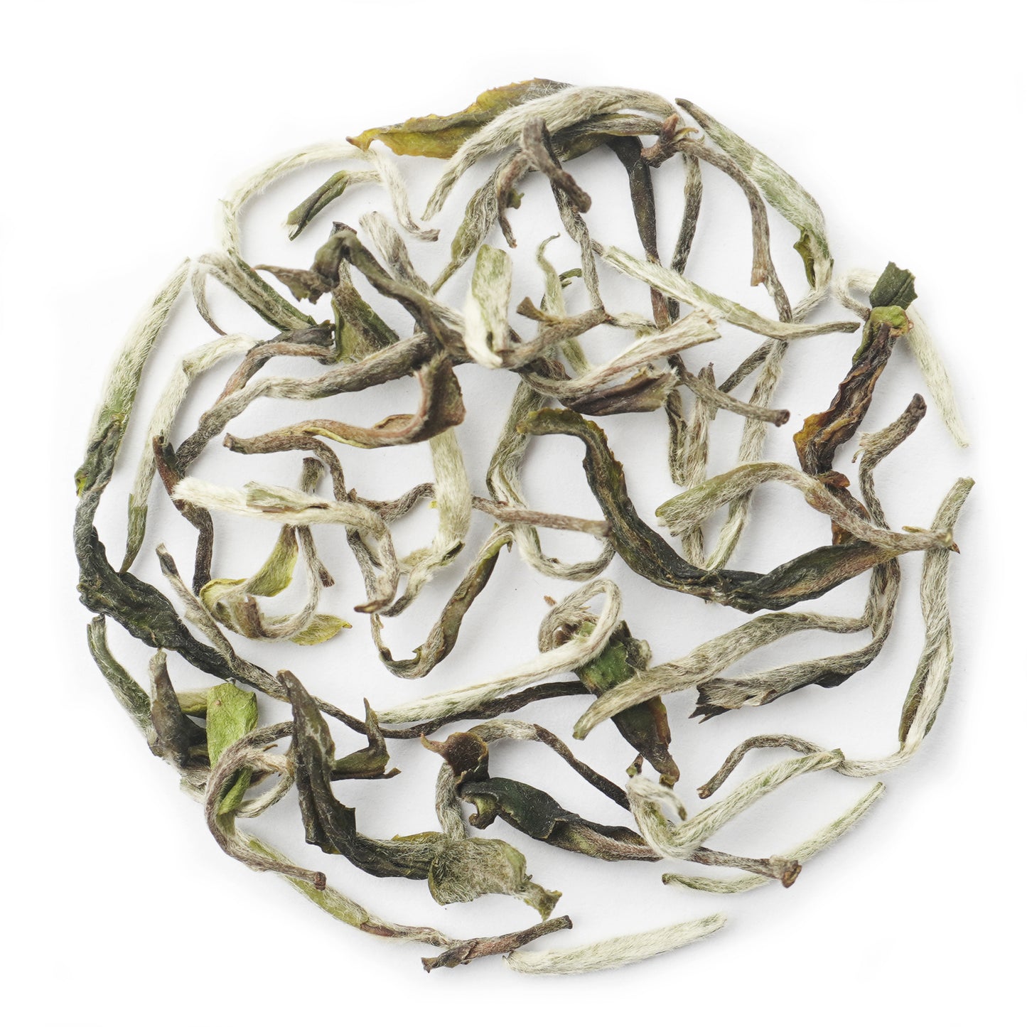 Giddapahar China Delight First Flush Darjeeling Black Tea 2024 - 50Gms