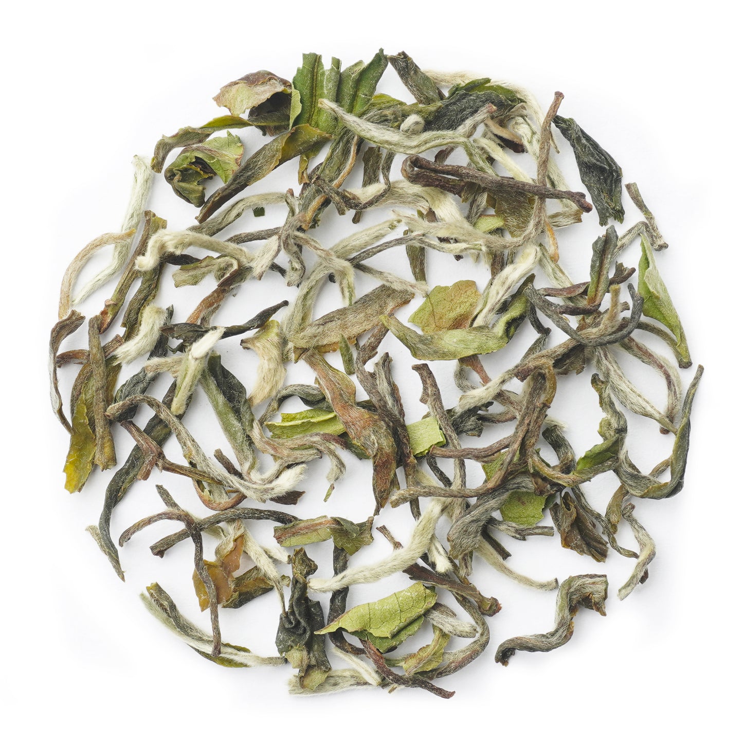 LIizahill Moonshine First Flush Darjeeling Black Tea 2024 - 50Gms