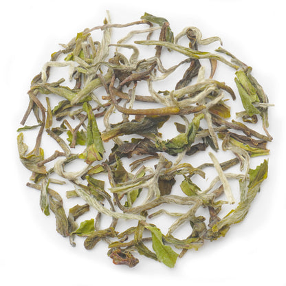 Samabeong Spring Wonder First Flush Darjeeling Black Tea 2024 - 50Gms