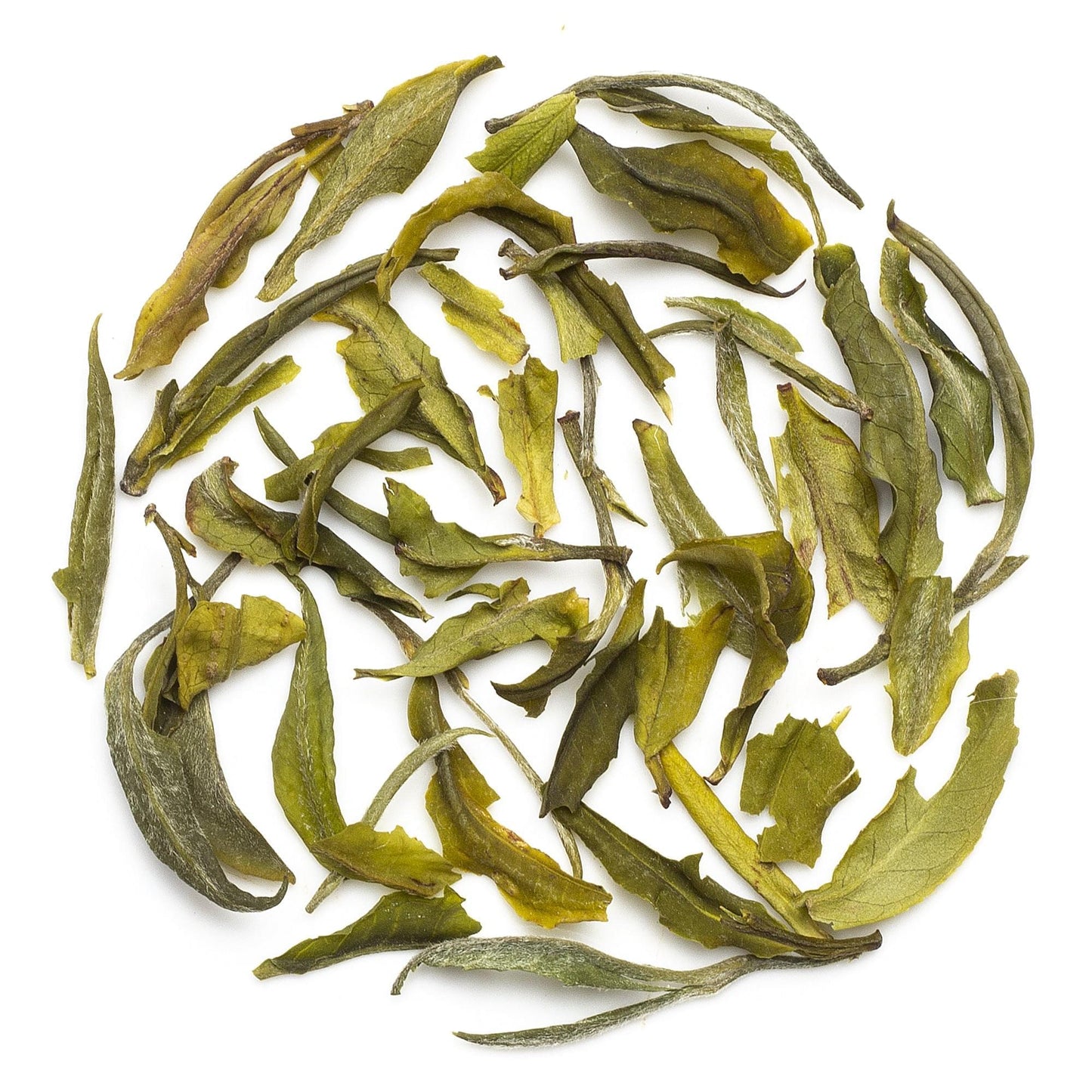 Arya Pearl First Flush White Tea - 25 gm